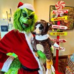 article image - Grinch 3
